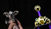 Kontes Anjing Terjelek Sedunia menarik ratusan penggemar hewan peliharaan di pameran tersebut, termasuk peserta kontes pertama kali Linda dan Stacy Horton, yang jelas merupakan favorit.  