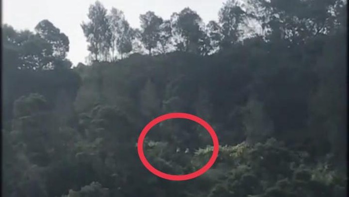 Tangkapan layar video viral diduga mobil wisatawan masuk ke jurang di Bromo.