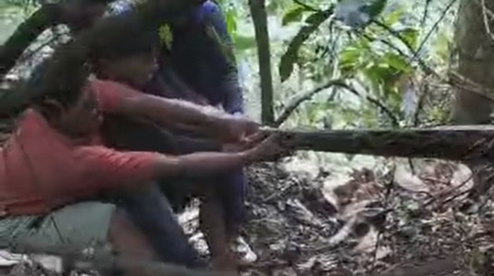 Ular piton 7 meter ditangkap warga di Bone, Sulsel.