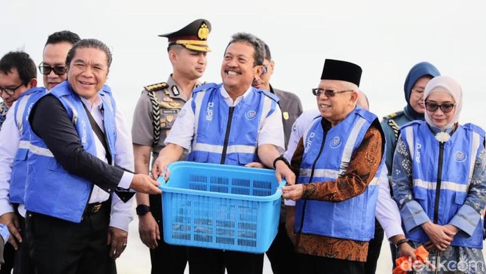Wapres Maruf Amin (berkopiah) menghadiri panen udang vaname di Kebumen, Senin (26/6/2023).