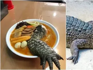 5 Makanan di Luar Nalar, Kaki Godzilla hingga Tumis Batu