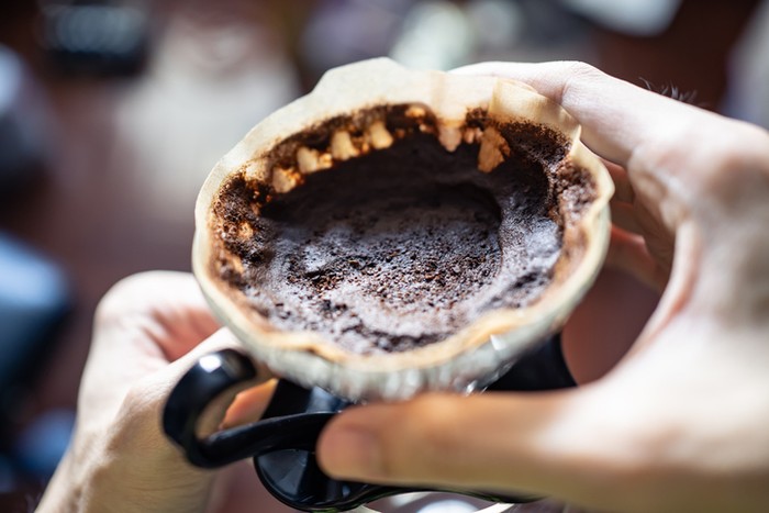 manfaat ampas kopi untuk pupuk dan kecantikan