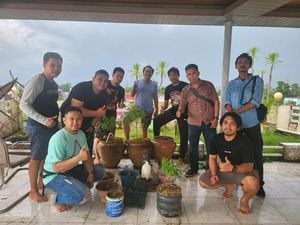 Polisi Tangkap 2 Orang Saat Bongkar Kasus Budidaya Bibit Ganja di Gowa