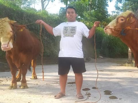 Haryanto asal Klaten dan sapinya yang diborong artis Uya Kuya ke Jakarta. Diunggah Senin (27/6/2023).