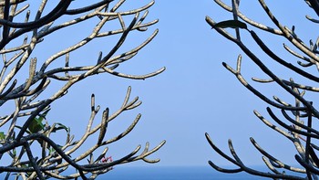 OPPO Find X6 Pro 5G mengusung konsep tiga kamera utama pada bagian belakang dimana ketika kamera ini memiliki kualitas sensor yang setara.  Foto: Josina/detikINET