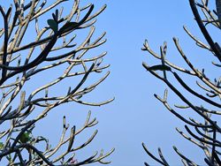 Indahnya Bali Dalam Jepretan Kamera Oppo Find X6 Pro