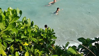 Kamera Oppo Find X6 Pro disebut memiliki kualitas kamera seperti dslr, bahkan sempat menduduki rangking 1 di DXOMark. Sebagai informasi semua hasil foto ini tak dilakukan proses editing. Foto: Josina/detikINET