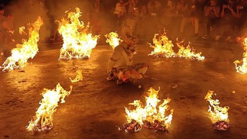 Menggunakan model pelatihan AI di sisi perangkat, algoritma dapat menganalisis objek seperti langit, tanah, dan pohon secara real-time dan melakukan segmentasi multi-semantik berbasis objek. Foto: Josina/detikINET