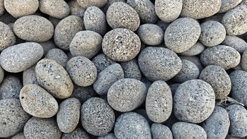 Foto yang dihasilkan sangat detail dengan warna yang natural tidak berlebihan. Foto: Josina/detikINET