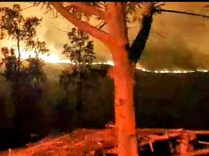 Hutan dan Lahan di Ijen yang Terbakar Diperkirakan Seluas 10 Hektar
