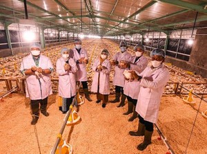 Charoen Pokphand Hibahkan Kandang Ayam Closed House ke USU