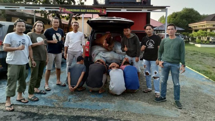 Kawanan begal ternak ditangkap di Bengkulu Selatan.