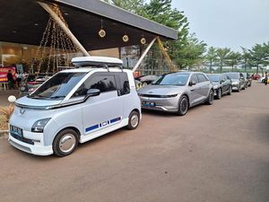 Pengguna Hyundai Ioniq hingga Wuling Air ev Kumpul dalam Satu Komunitas Mobil Listrik