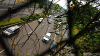 Cuti bersama dalam rangka Idul Adha berlangsung sejak hari Rabu (28/6) sampai Jumat (30/6), ditambah libur hari Sabtu dan Minggu.