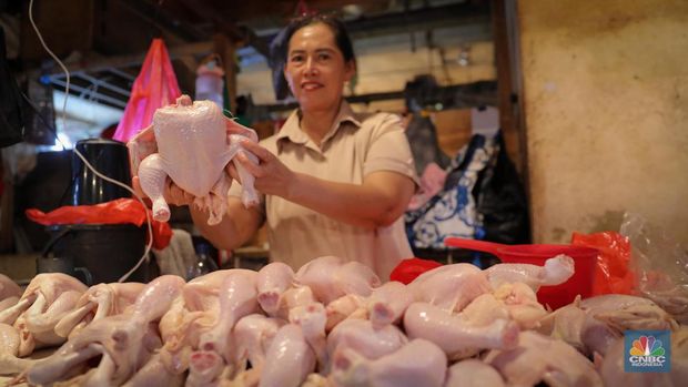 Menjelang hari raya Idul Adha, harga daging ayam di Pasar Senen mengalami peningkatan dalam dua bulan terakhir. (CNBC Indonesia/Faisal Rahman)