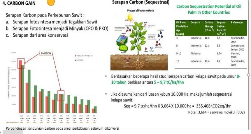 Serapan karbon oleh pohon sawit