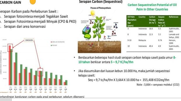 Serapan karbon oleh pohon sawit