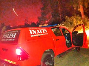 Hutan dan Lahan di Ijen yang Terbakar Berhasil Dipadamkan