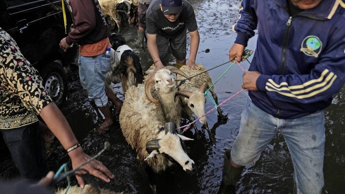 A man stands with a goat for sale at a livestock market ahead of the upcoming Eid al-Adha holiday in Jonggol, West Java, Indonesia, Monday, June 26, 2023. People in the world's most populous Muslim country will celebrate Eid al-Adha or the Feast of the Sacrifice on June 29 by slaughtering sheep, goats and cows whose meat later be distributed to the poor. (AP Photo/Dita Alangkara)