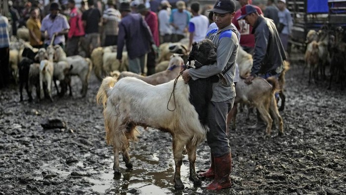 A man stands with a goat for sale at a livestock market ahead of the upcoming Eid al-Adha holiday in Jonggol, West Java, Indonesia, Monday, June 26, 2023. People in the world's most populous Muslim country will celebrate Eid al-Adha or the Feast of the Sacrifice on June 29 by slaughtering sheep, goats and cows whose meat later be distributed to the poor. (AP Photo/Dita Alangkara)