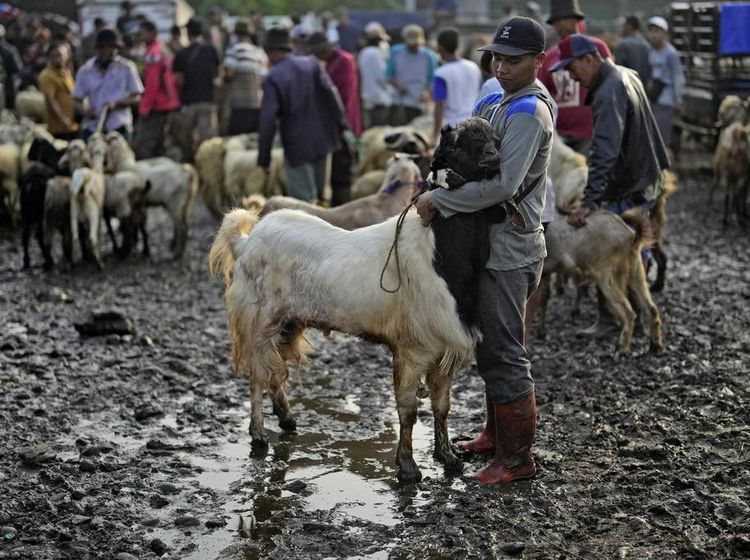Suasana Pasar Ternak Jonggol yang Becek Usai Diguyur Hujan
