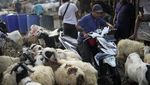 Suasana Pasar Ternak Jonggol yang Becek Usai Diguyur Hujan