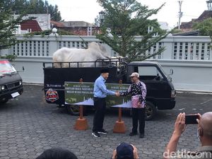 Gubernur-Wagub DIY Kurban 7 Sapi, Ini Daftar Masjid Penerimanya