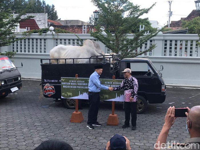 Takmir masjid Gedhe Kauman menerima sapi kurban dari Gubernur DIY di Kompleks Kepatihan, Yogyakarta, Selasa (27/6/2023).
