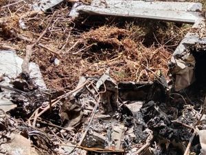 Basarnas: Pesawat SAM Air Hangus Terbakar, Semua Korban Meninggal