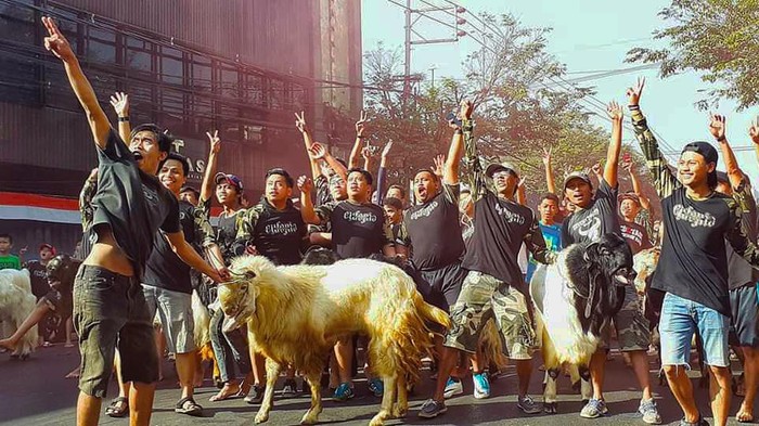 Tradisi arak-arakan kambing yang meriah diwarnai flare layaknya karnaval di Kota Malang.