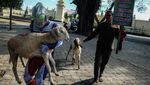 Unik, Ultraman Berbagi Hewan Kurban di Solo