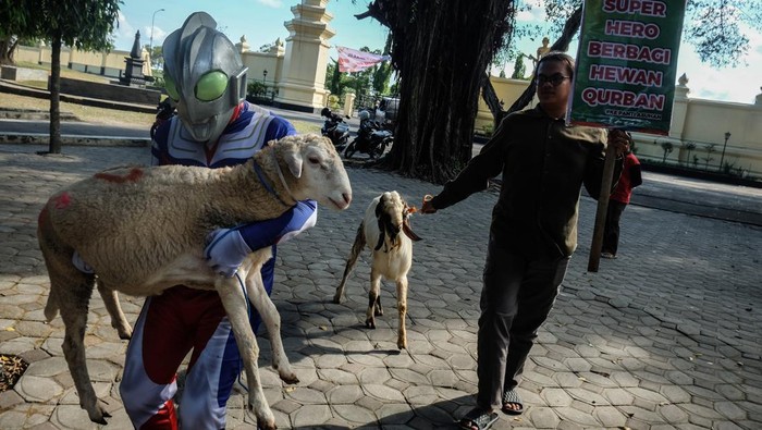Relawan berkostum tokoh superhero Ultraman membawa hewan kurban untuk disalurkan kepada pengurus Yayasan Lentera Solo, Jawa Tengah, Selasa (27/6/2023). Penyaluran hewan kurban tersebut untuk berbagi kebaikan kepada anak-anak pengidap HIV/AIDS yang menghuni yayasan setempat pada momen Hari Raya Idul Adha1444H.ANTARAFOTO/Maulana Surya/nz.