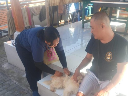 Dinas Pertanian Kota Denpasar ketika tengah melakukan vaksinasi anti rabies di wilayah Kelurahan Peguyangan, Denpasar, Bali, Selasa (27/6/2023).