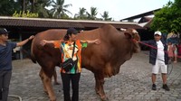 Pemilik peternakan mengatakan bahwa Wariso tak diberi ke sembarangan orang untuk dijual. Menurutnya Irfan Hakim orang yang paling tepat untuk memilih Wariso sebagai hewan kurban. Foto: YouTube deHakims Channel