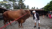 Irfan Hakim menjadi salah satu artis yang berkurban sapi di Idul Adha tahun ini. Tak tanggung-tanggung sapi yang diberi bobotnya mencapai 1 ton. Foto: YouTube deHakims Channel