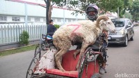 Para penyedia jasa mengaku akan kebanjiran pesanan hingga besok pagi setelah dilaksanakannya salat Idul Adha.  