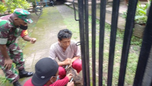 Vaksinasi anjing milik warga di Buleleng.