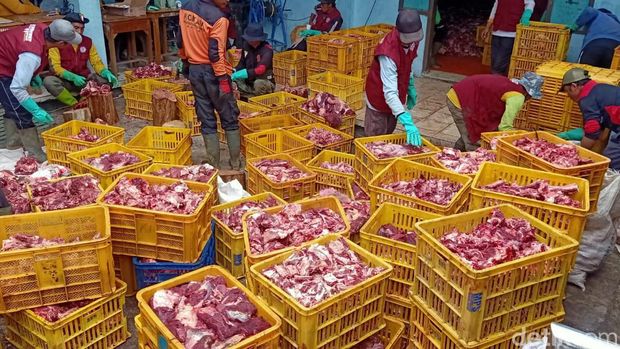 Penampakan daging hewan kurban menumpuk dan proses penyembelihan distribusi di Dusun Krajan Desa Batur, Banjarnegara.
