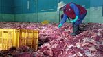 Potret Aula Kampung Krajan Banjarnegara Bak Lautan Daging Kurban