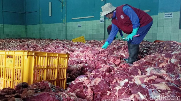 Daging kurban Penampakan daging hewan kurban menumpuk dan proses penyembelihan distribusi di Dusun Krajan Desa Batur, Banjarnegara.