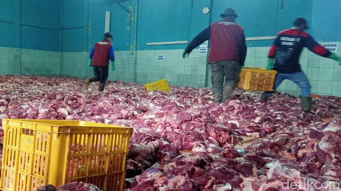 Daging kurban Penampakan daging hewan kurban menumpuk dan proses penyembelihan distribusi di Dusun Krajan Desa Batur, Banjarnegara.