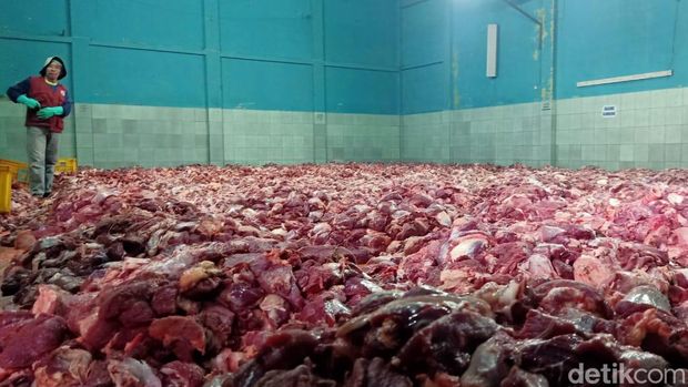 Penampakan daging hewan kurban menumpuk dan proses penyembelihan distribusi di Dusun Krajan Desa Batur, Banjarnegara.