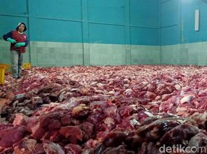 Penampakan Daging Kurban di Banjarnegara Melimpah, Capai 25 Ton