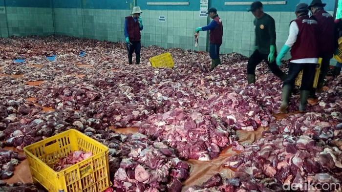 Penampakan daging hewan kurban menumpuk dan proses penyembelihan distribusi di Dusun Krajan Desa Batur, Banjarnegara.