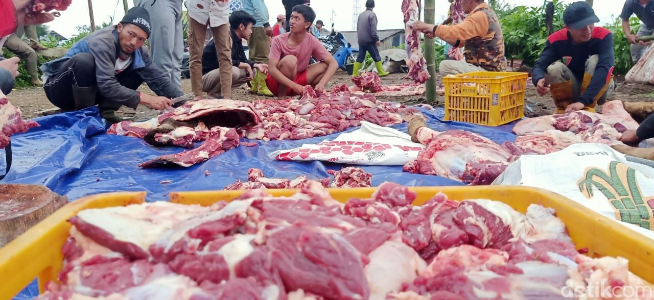 Penampakan daging hewan kurban menumpuk dan proses penyembelihan distribusi di Dusun Krajan Desa Batur, Banjarnegara.