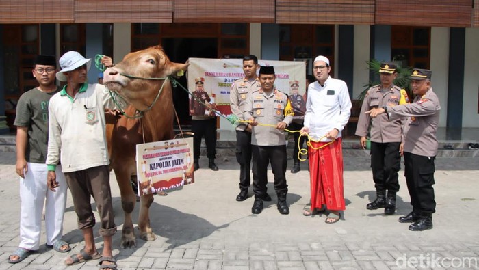 Kapolda Jatim menyalurkan sapi ke Ponpes Langitan Tuban