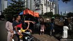 Melihat Kondisi Sapi Kurban Sehari Jelang Idul Adha