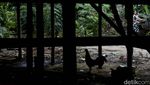 Kota Mati di Jaktim Itu Bernama Kampung Vietnam