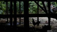 Setelah itu kawasan ini hanya ditempati oleh pengurus panti jompo. Namun, karena sering banjir, satu demi satu para pengurus ini akhirnya memilih untuk pindah sehingga tempat itu kini terkesan bak kampung mati.