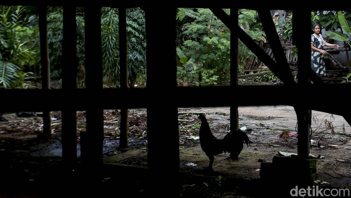 Melongok Kampung Eks Pengungsi Vietnam di Jakarta Timur Beginilah suasana menjelang malam di salah satu perkampungan di pinggiran Jakarta yang juga bekas penampungan pengungsi vietnam. Penasaran seperti apa? Ini potretnya.